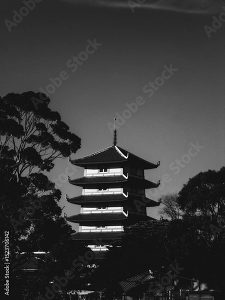Obraz Pagoda in the distance