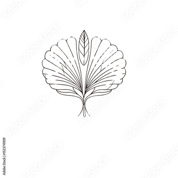 Fototapeta leave