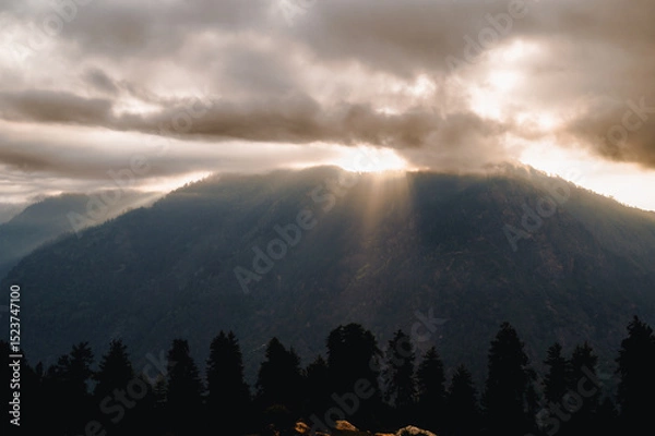 Obraz Sunrise in the mountains.  At 6,900 feet,  serene meadows, pine forests, and proximity to the Great Himalayan National Park, Sainj Valley of Kullu District, Himachal Pradesh, India.
