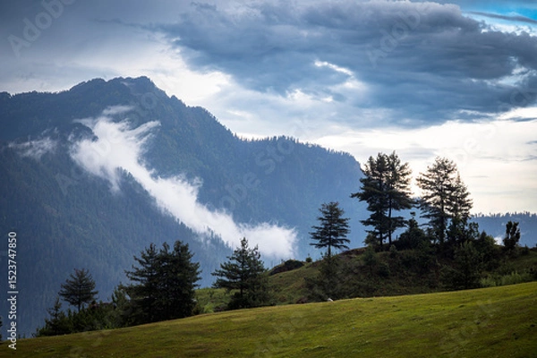 Obraz Mountain landscape with clouds.  At 6,900 feet,  serene meadows, pine forests, and proximity to the Great Himalayan National Park, Sainj Valley of Kullu District, Himachal Pradesh, India.
