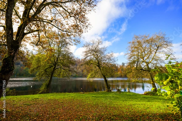 Obraz View of the autumn landscape at the Gemündener Maar near Gemünden. Idyllic nature by the lake in the Volcanic Eifel region of Rhineland-Palatinate.
