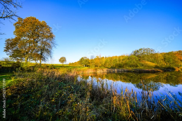 Obraz View of the autumn landscape at the Holzmaar near Gillenfeld. Idyllic nature by the lake in the Volcanic Eifel region of Rhineland-Palatinate.
