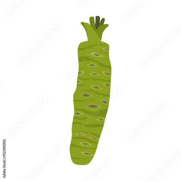 Fototapeta fresh wasabi root flat design vector illustration isolated on white background. Can use for asian food, spice spicy, asia herb, japan, vegetable. raw wasabi for japanese food Condiments for sushi