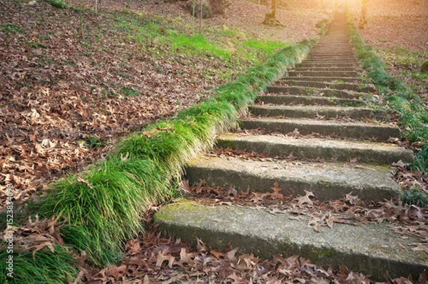 Obraz Stairs from concrete leading to the top.