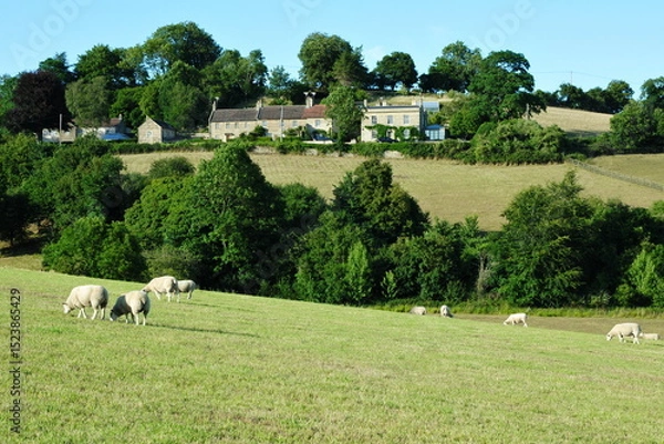 Fototapeta Scenic view of a farmland field and a flock of sheep grazing in a valley in rural England
