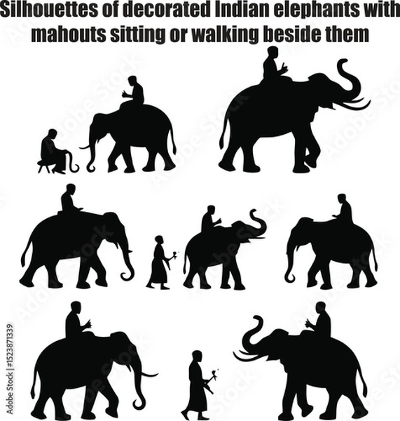 Fototapeta Silhouettes of decorated Indian elephants with mahouts sitting or walking beside them
