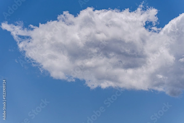 Obraz White textured clouds in the sky
