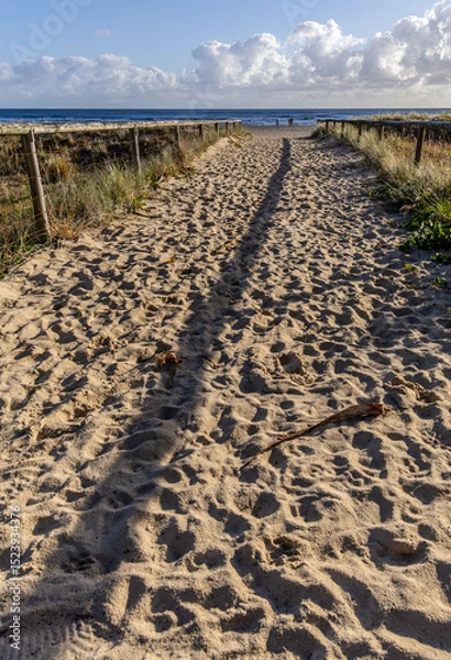 Obraz A sandy path to a beautiful beach in the early morning.