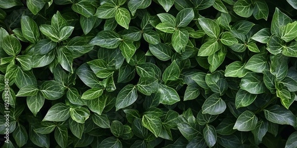 Obraz Vibrant Green Plant Background with Striped Leaf Patterns and Fresh Texture