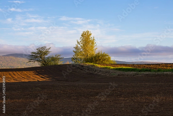 Obraz Plowed fields seen during an early spring morning, with trees and mountains in the background, Quebec City, Quebec, Canada