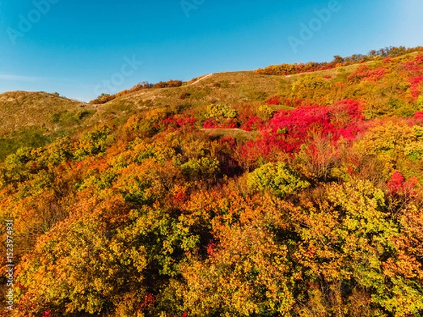 Fototapeta Mountain with autumn seasonal forest and trees with yellow or red foliage