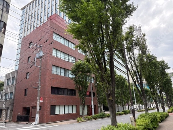 Fototapeta 神田錦町の景色