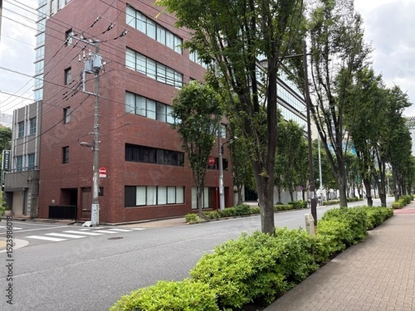 Fototapeta 神田錦町の景色