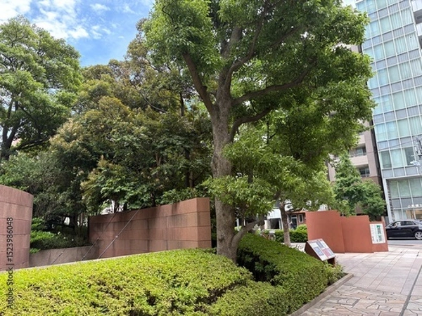Fototapeta 神田錦町の景色