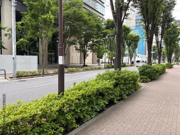 Fototapeta 神田錦町の景色