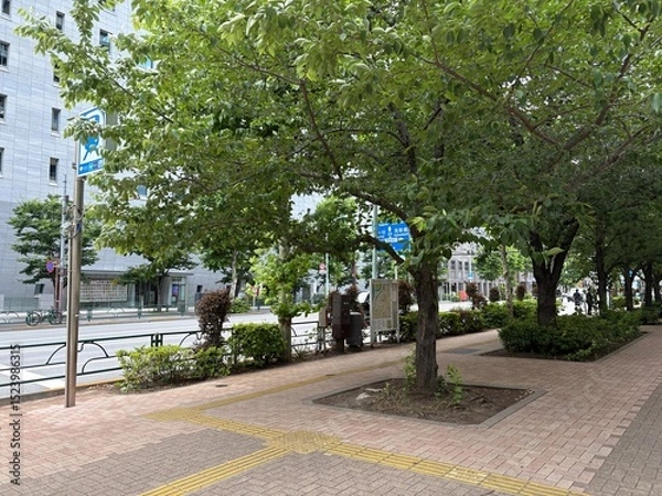 Fototapeta 神田錦町の景色