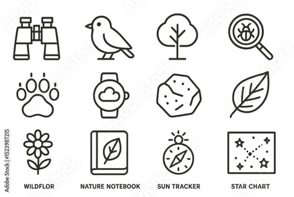 Fototapeta Nature-themed icon set with binoculars, bird, and tree illustrations