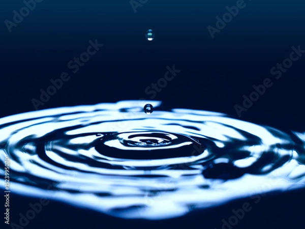 Obraz Water drop with circular waves