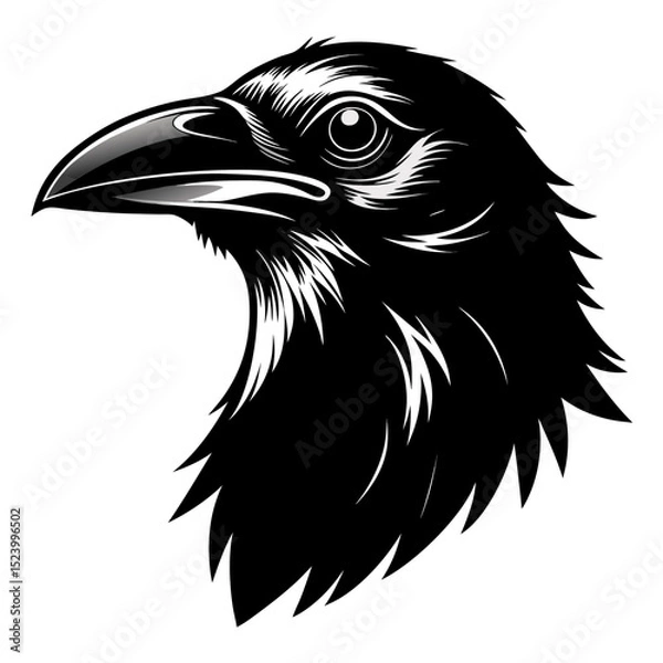Fototapeta Crow head in dramatic pencil sketch style with bold black and white contrast