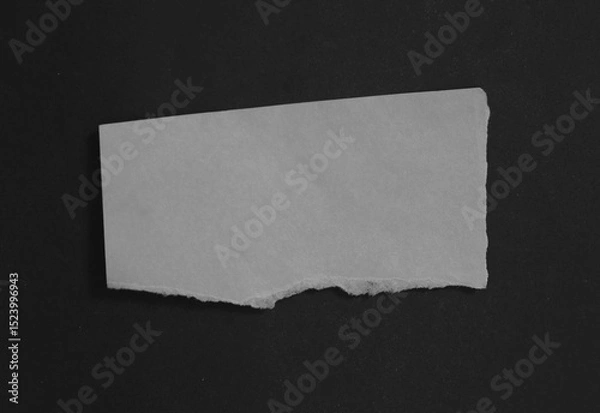 Fototapeta pieces of torn paper texture background, copy space for your text.