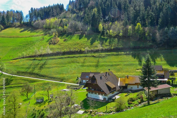 Obraz Schwarzwaldbauernhof im Talgrund des Zweribachs bei Wildgutach im Frühling