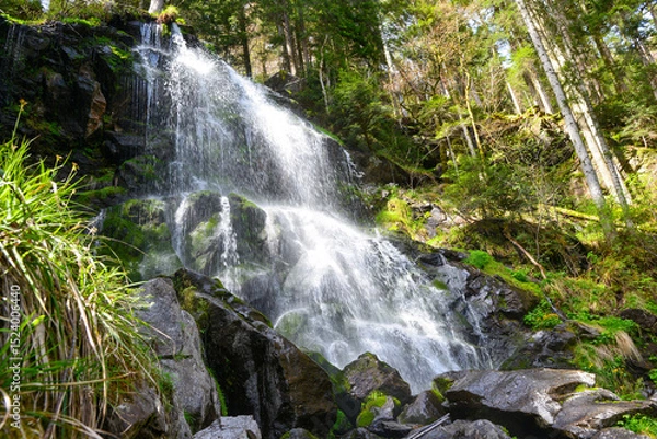 Obraz Der abgelegene Zweribach-Wasserfall bei Wildgutach im mittleren Schwarzwald ist einer der schönsten Wasserfälle im Schwarzwald
