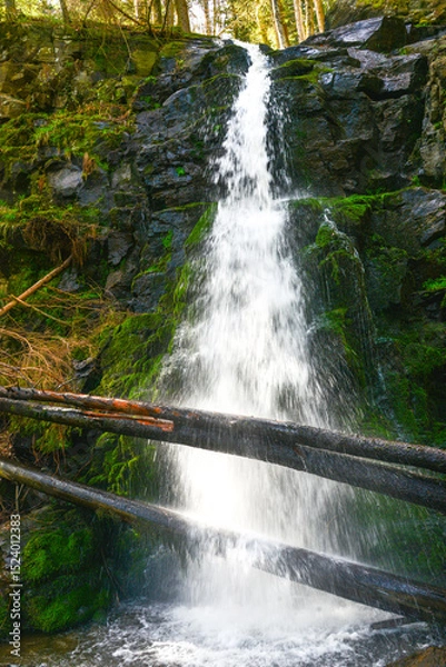 Obraz Der abgelegene Zweribach-Wasserfall bei Wildgutach im mittleren Schwarzwald ist einer der schönsten Wasserfälle im Schwarzwald