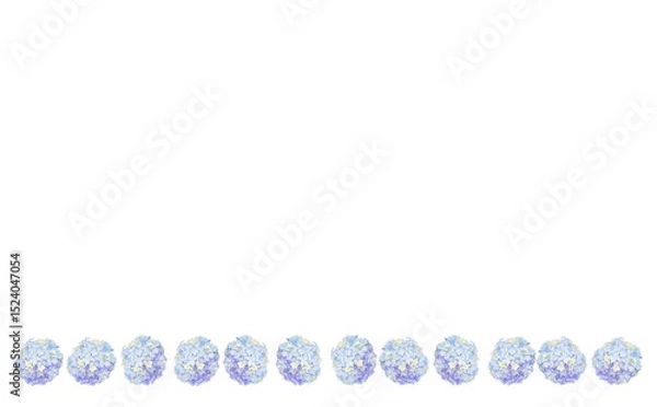 Obraz タマアジサイ　③