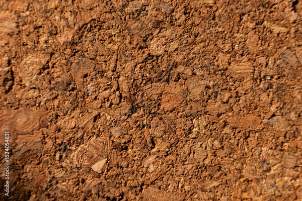 Obraz Close-up with shallow depth of field. Surface of pressed cork wood. Orange warm background