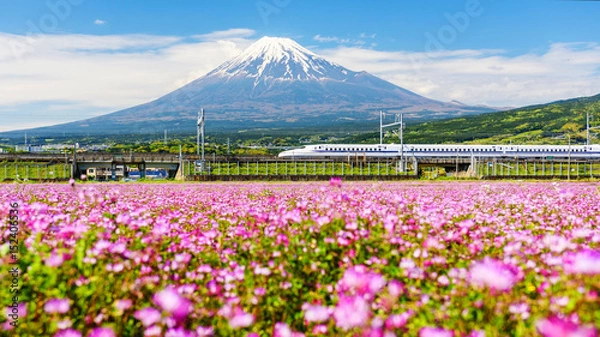Obraz Shinkanzen prowadzi Mt. Fuji