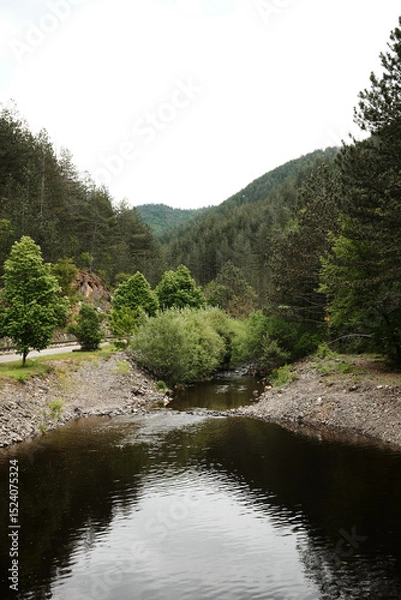 Obraz Peaceful view of Kamisna river flowing through a green forest valley in Mokra Gora, Serbia in spring season.