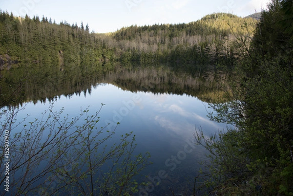 Fototapeta Reflection