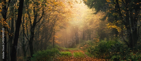 Fototapeta Dreamy dramatic autumn scenery in a misty forest, with a footpath and a beam of soft warm light in a fairytale magical atmosphere