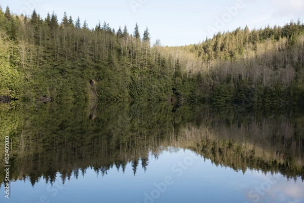 Fototapeta Reflection