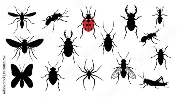 Fototapeta Silhouette collection of diverse insects with distinct shapes on white background vector illustration