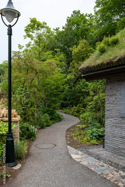 Fototapeta 緑の散歩道