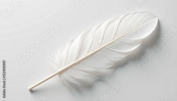 Fototapeta Close-up of a single, pristine white feather, soft texture and delicate details visible against a neutral background Perfect for purity, lightness, and ethereal themes , texture, background