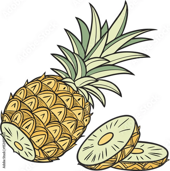 Obraz Tropical Pineapple Illustration