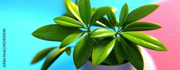 Fototapeta A vibrant green plant with glossy leaves, beautifully contrasting against a colorful background. Perfect for adding a touch of nature to your space.