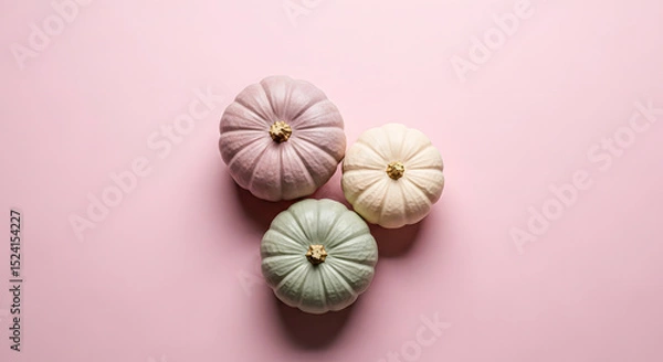 Obraz Pastel Pumpkins on Pink Background in Soft Light
