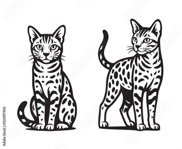 Obraz Black and white vector illustration of two Serengeti cats in sitting and standing poses, showcasing their spotted fur and elegant body shape. Pet.