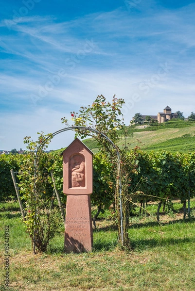 Fototapeta View of a wayside cross in the vineyards of Johannisberg in the Rheingau
