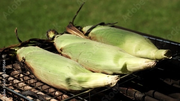 Fototapeta Grilled corn cob in green shells leaves grill on barbecue grate with smoke and flames. Picnic party and camping in nature. Sunny summer weekend with healthy vegetarian food plate.