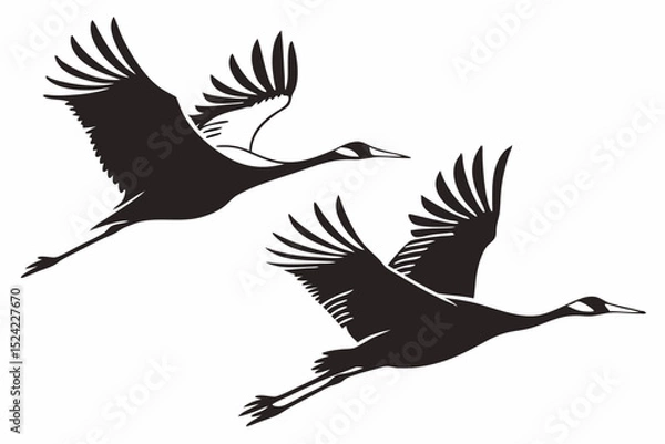 Fototapeta cranes bird sihouette black vector bundle