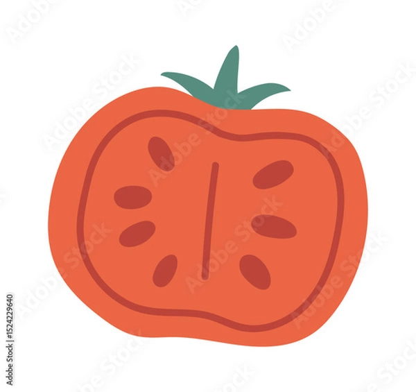 Obraz Hand drawn illustration of a tomato slice featuring visible seeds and pulp, ideal for food illustrations, recipe books, or culinary themed projects