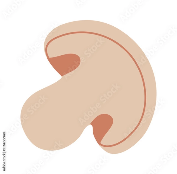 Obraz Minimalist vector illustration featuring a sliced mushroom, highlighting the stem and cap with visible gills, all set against a clean white background for a fresh, modern look