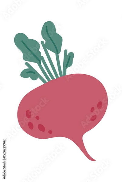 Obraz Hand drawn illustration featuring a vibrant beet with lush green leaves, isolated on a clean white background, symbolizing healthy eating and fresh, organic produce from the farm