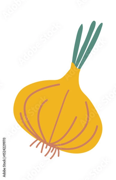 Obraz Ripe yellow onion featuring vibrant green sprouts, isolated against a clean white background, representing a healthy organic vegetable and a versatile ingredient for cooking