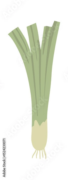 Obraz Spring onion vegetable with long green leaves and white bulb, isolated on white background, representing healthy eating, organic farming, and culinary ingredients