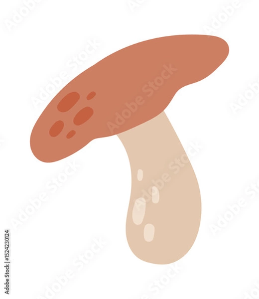 Obraz Mushroom with brown cap and beige stem growing wild, hand drawn digital illustration isolated on white background, simple and minimalist autumnal design